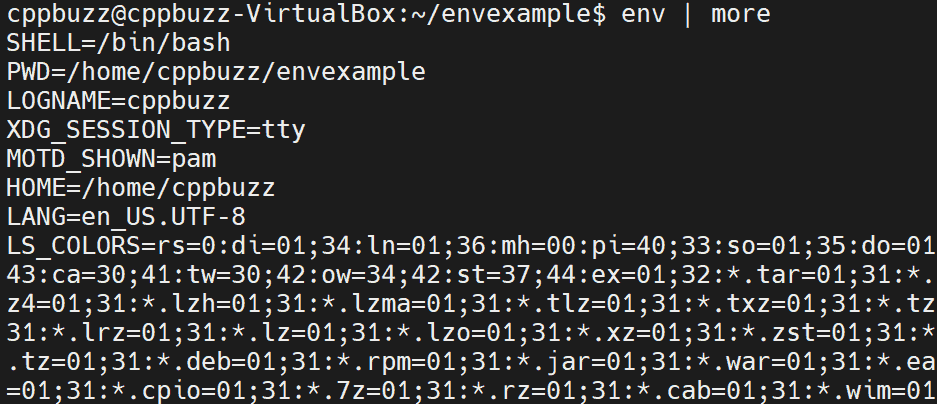 environement variables in linux & c++